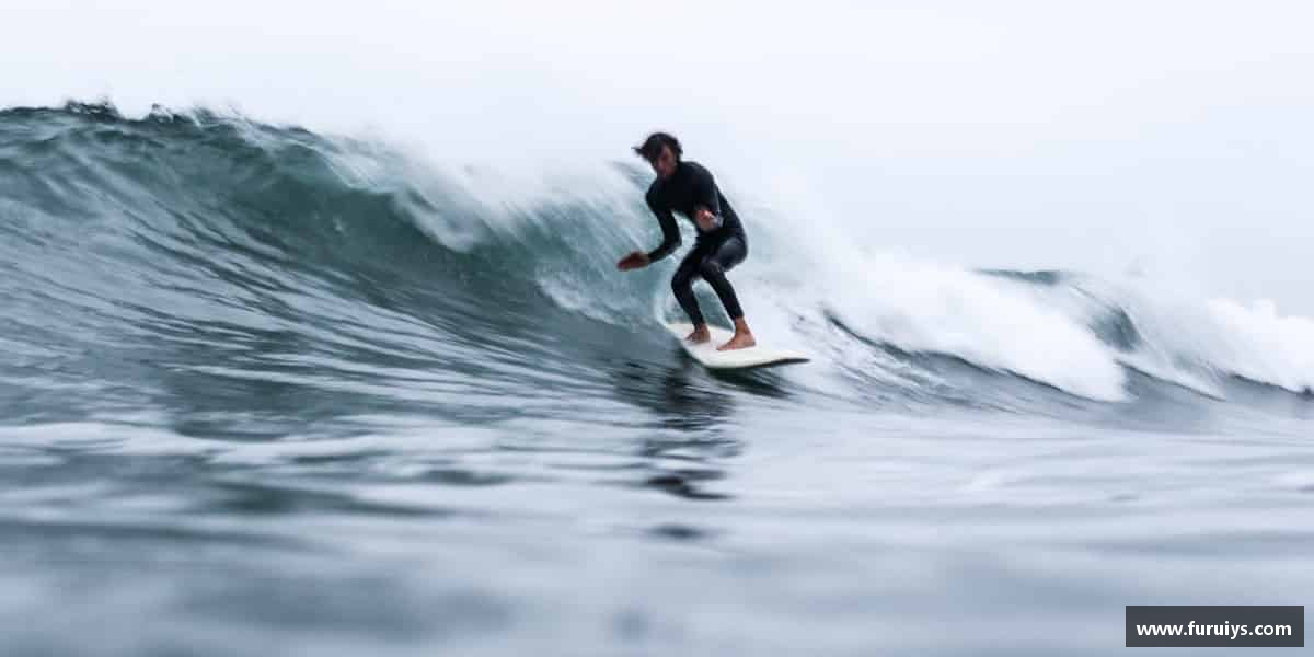 了解emc易倍·体育